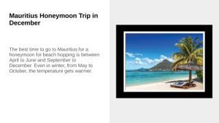 Mauritius Honeymoon Trip in December.pptx